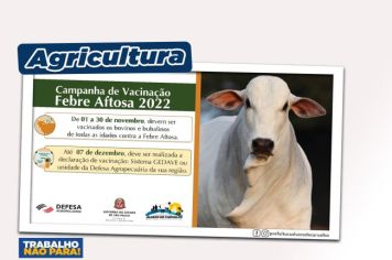 A vacinação de bovinos e bubalinos contra a Febre Aftosa e Brucelose começa em novembro