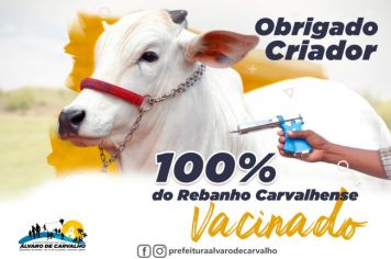 Vacinação contra Febre Aftosa