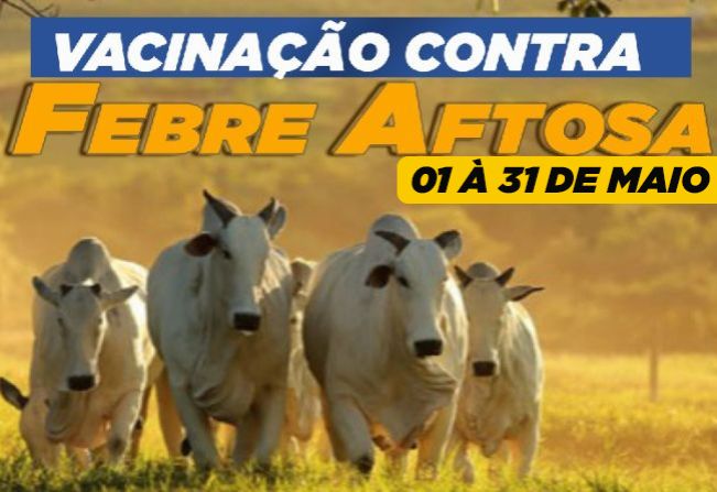 Vacinação de Febre Aftosa e Brucelose 