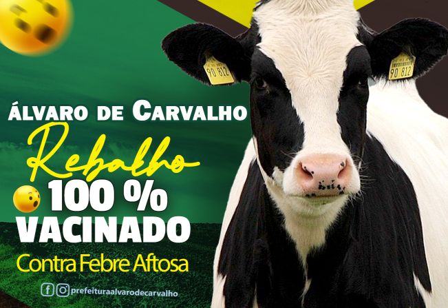  Campanha de Vacinação Contra a Febre Aftosa, 100% do rebanho bovino