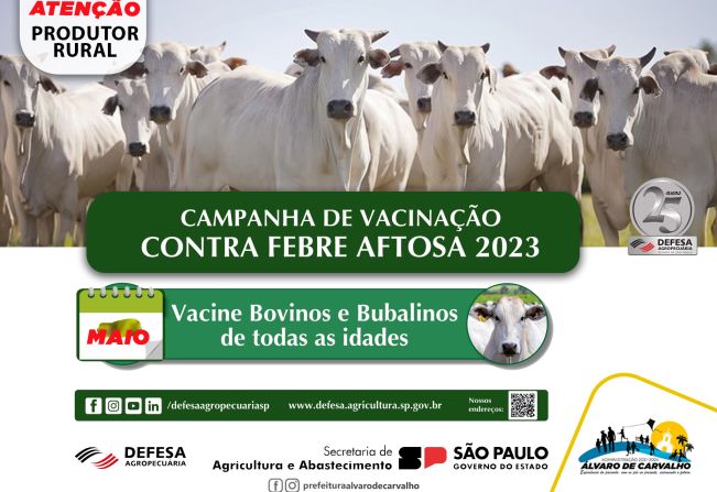 Campanha de Vacinação contra Febre Aftosa